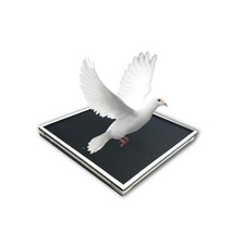 풍선 마술도구 비둘기 불타는 매직보드 무대공연 소품 행사장 공연, 01.비둘기판+꽃볼