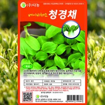 베이비청경채 씨앗 베이비청경채 씨 종자 10g, 1개
