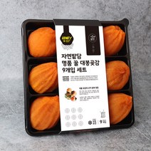 산지직송 꿀 대봉 곶감 9구 특대사이즈 충북 영동 대봉 반건시 명절 부모님 어르신 선물, 꿀 대봉 곶감 [9구 실속형]