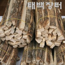 태백장터 정선 엄나무1kg, 1단, 1kg