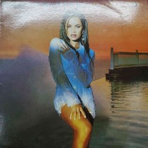 3796 /LP음반 /VANESSA WILLIAMS (THE COMFORT ZONE)레코드음반.팝송.중고음반.가요.LP음반