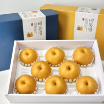 [배통령] 명절 배 선물세트 특대과 천안 성환배 7.5kg 제수용 선물용 가정용 배과일, 실속형 특대과 배 세트 7.5kg(10과 내외)