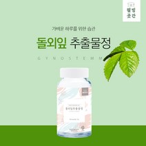 고함량 돌외잎 추출물 분말 정제 인삼 4배 사포닌 함유 AMPK 단백질 효소 고농축 돌에잎 체지방 체중 다이어트, 1박스(120정)