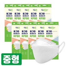 휴그린 KF80 미세먼지 황사 방역마스크 개별포장 중형 10매, 1개