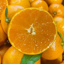 제주 서귀포 귤 맛있는 노지 비가림 하우스 감귤 당도선별 밀감 대포 타이벡, [2] 5kg (2S 사이즈)