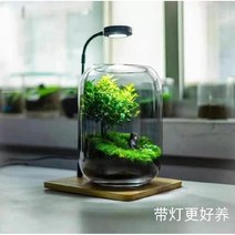 테라리움 이끼 식물 팔루다리움 이끼테라리움 어항 유리병 크레스티드게코 도마뱀 사육장 팔루다리움, 흰색 밴드 램프