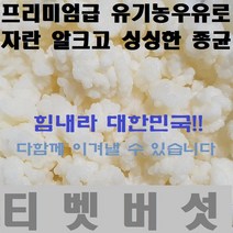 티벳버섯 케피어그레인, 1개, 일십그람10g