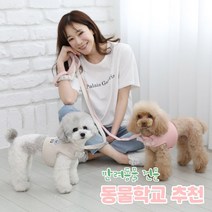 리토가토 러비 커스텀 캐릭터 강아지 하네스 + 리드줄 세트 5종 (컴퓨터 자수) 동물학교 추천, 베이지