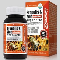 캐나다 프로폴리스 아연 90캡슐 프로폴리스아연c 플로폴리스 폴리폴리스 플라보노이드 항산화 도움 꿀벌 면역 청소년 성장기 성인, 단품