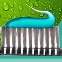 고양이치석제거 강아지바르는치약 덴탈클리닉, 단품