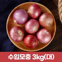 수입모충 샬롯 작은양파3kg (큰사이즈), 1개