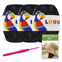 [니뜨] 2022 루이(45g)x3볼+하와이안챙모자도안+후르츠코바늘6/0호, 103_무광 블랙