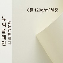 뉴씨플레인 종이문화 얇은 양면색지 120g 8절 낱장 1매 No.51 백색, 1장