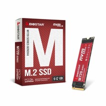 Biostar M720 M.2 NVMe (512GB), 1개