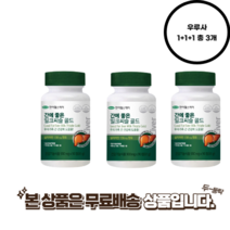 간에좋은 일동제약 실리마린 밀크씨슬 9개월분 1+1+1 총 3개