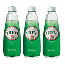 트레비 롯데칠성음료 자몽, 30개, 300ml