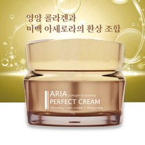 아리아 퍼펙트 크림 50g 미백 비타민C 탄력 콜라겐 기능성 올인원, 1개