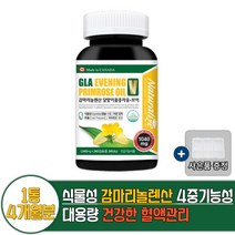 테라큐어 글라 이브닝 프림로즈 오일 V 1통 240캡슐