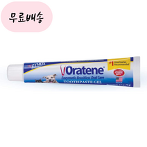 자이목스 오라틴 투스페이스트 치약 반려동물 70g, 1개, 1개