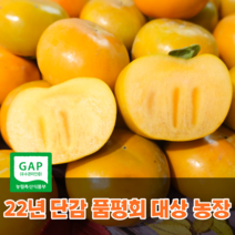 [22년 단감품평회 대상 수상] 씨없는단감 진영 부유 경남 햇 고당도 창원단감, 10kg_소(61~70내외)