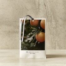 모던하우스 천호점 리빙 감성 감귤밭 사쉐 AR0319014, 1p