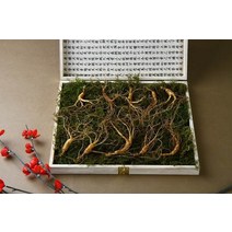 강원 진삼애 산양삼 9-10년근 10뿌리, 없음, 1개