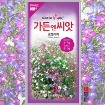 로벨리아 씨앗 100립 / 숙잔대 일년생 야생화 꽃 봄 꽃씨 몰 종자, 1개