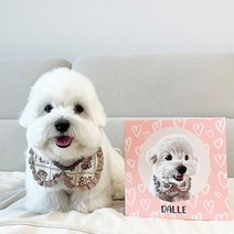 메르몽 반려동물 초상화, 복숭아
