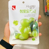 초이스엘 무설탕 청포도캔디(40G), 1개, 40g