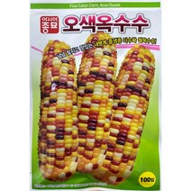 오색옥수수 찰옥수수씨앗 100립