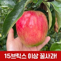 굿띵파머스 경북 부사 흠과 꿀사과 햇사과 가정용 3kg 6kg 10kg, 선물용5kg(14과)