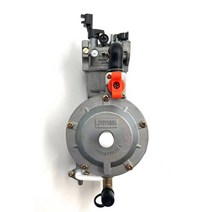 듀얼 연료 발전기 기화기 LPG NG 변환 키트 2KW 3KW 168F 170F 6.5HP 전기 부품