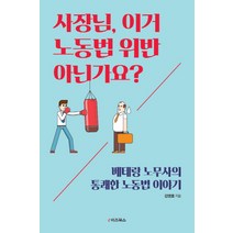 사장님 이거 노동법 위반 아닌가요?:베테랑 노무사의 통쾌한 노동법 이야기, e비즈북스, 김영호 저