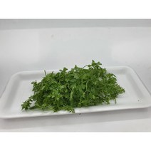 [특급] 차빌 10g 1팩 챠빌 처빌 허브생잎