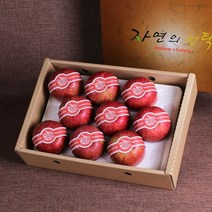 [자연의선택]명품사과선물세트5호3kg(8-12입), 단일속성, 1개