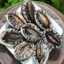 청정지역 국내산 완도 전복 산지직배송 활전복 일반용, 1kg(7-8미)
