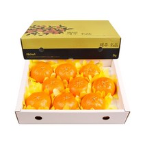 삼다몰 제주 레드향 3kg 5kg 10kg, 레드향(왕특대) 3kg(7~10과), 1박스