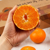 제주직송 농장에서바로 만감류, 천혜향, 3kg (선물용 중-대과)