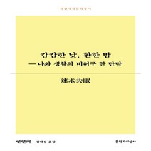문학과지성사 새책-스테이책터 [캄캄한 낮 환한 밤] -나와 생활의 비허구 한 단락-대산세계문학총서 178-문학과지성사-옌롄커 지음, 캄캄한 낮, 환한 밤