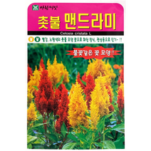 아람종묘 촛불맨드라미꽃씨앗 혼합200립, 1개