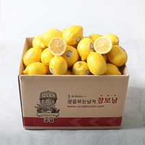 [오늘출발]장보남 레몬 4kg(30-40과) /우체국택배