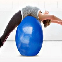다이어트짐볼 다이어트 짐볼 55cm 65cm 코어운동 유연성운동, 블루