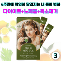 샐러리매직주스 디톡스 클렌즈주스 몸속노폐물 독소제거 해독주스 체중 피부 건강 관리 단기 다이어트, 3개(2.5gx42포)