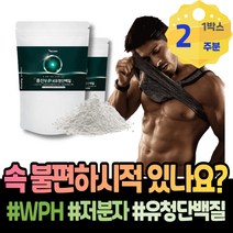 보충제추천 맛있는단백질쉐이크 프로틴 근육감소증 임산부 가루 아침대용 파우더 가성비프로틴 게이너 군인선물 성인분유 여성 남녀 WPH 시니어 아이솔레이트 운동 WPI 로이신 이마트
