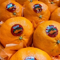 과일특공대 제주 프리미엄 고당도 레드향 3kg 5kg 선물용, 고당도 레드향(가정용), 5KG(16-25개입)보자기포함