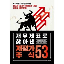 재무제표로 찾아낸 저평가 주식 53 : 투자자들이 가장 궁금해하는 바이오 로봇 메타버스 게임 전기차 반도체 분야, 도서