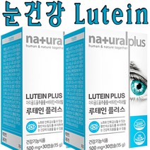 온가족 종합눈건강 대용량 루테인 마리골드꽃추출물 비타민A 비타민E 비타민B6 비타민B12 뉴테인 아연 엽산망간 구리 류테인 30캡슐 2박스, 6개(360캡슐/12개월분), 60캡슐