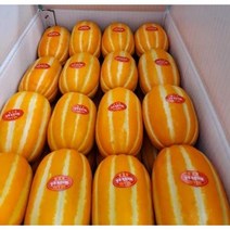 산지직송 성주 황금 꿀참외10kg (2kg 3kg 5kg)