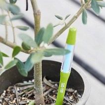 SUSTEE 서스티 물주기 알리미 식물 수분계 본품 S, 화이트