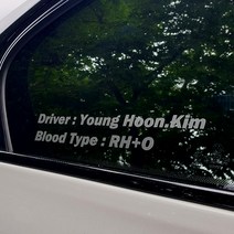 드라이버 혈액형 스티커 블러드 이름스티커, 골드